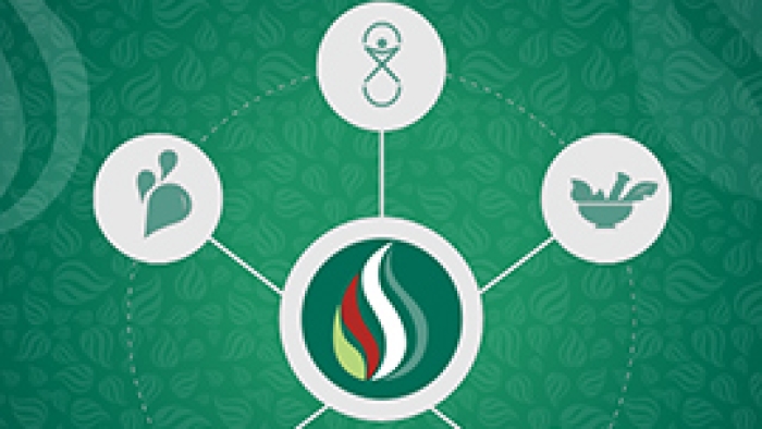 14 - Política Nacional de Práticas Integrativas e Complementares no SUS - PNPIC-SUS_ atitude de ampliação de acesso