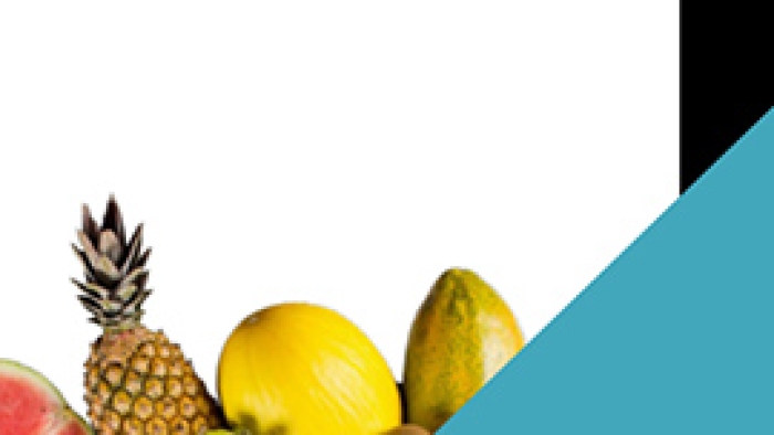 20 - CAB - Guia Alimentar para a população brasileira (versão resumida)