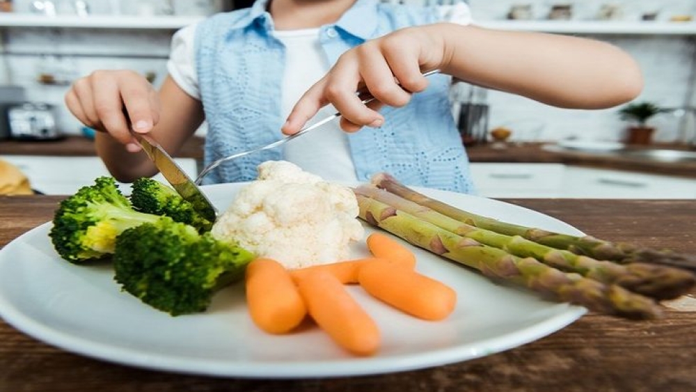Alimentacao-saudavel-foto-Ministerio-da-Saude-730x425-1